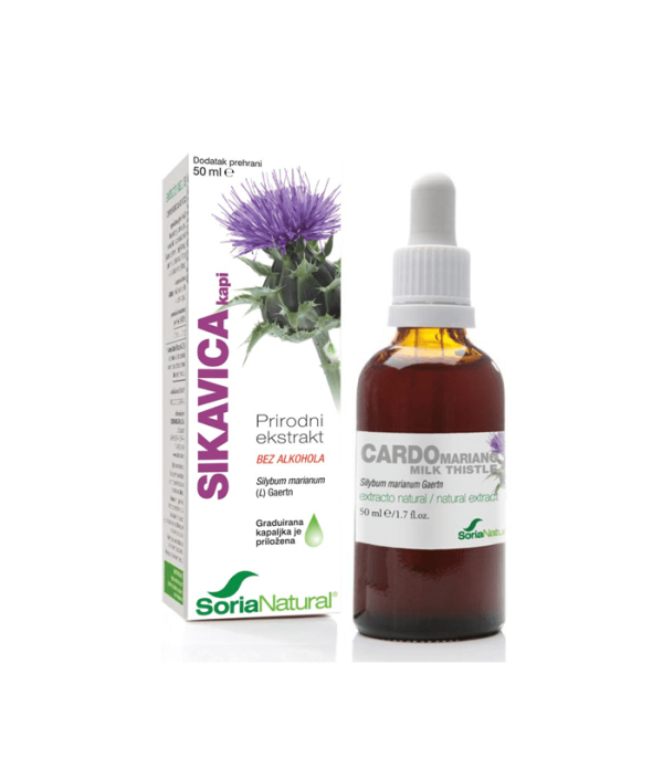 Sikavica (Silybum marianum Gaertn)